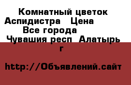 Комнатный цветок Аспидистра › Цена ­ 150 - Все города  »    . Чувашия респ.,Алатырь г.